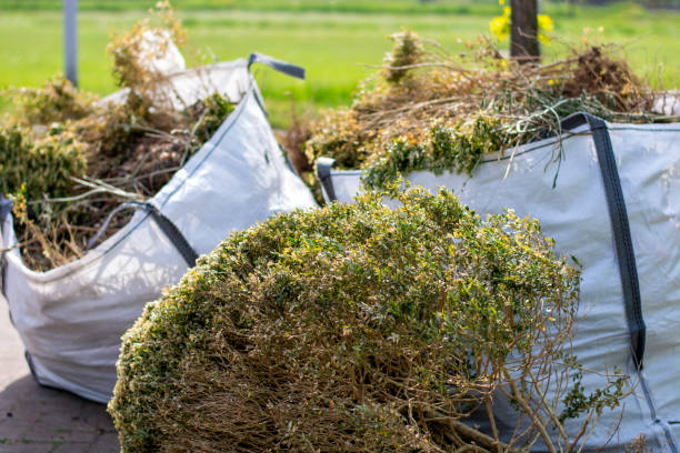 Yard Cleanup Services in Lake View, AL